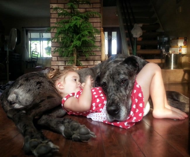 Ezek a képek a gazdi és a kutya közötti különleges és mély kapcsolatról szólnak. Kérünk, hogy oszd meg barátaiddal a cikket, ha Te is szereted a kutyákat.
