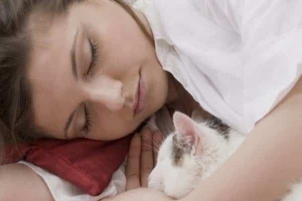 ha macskával alszol