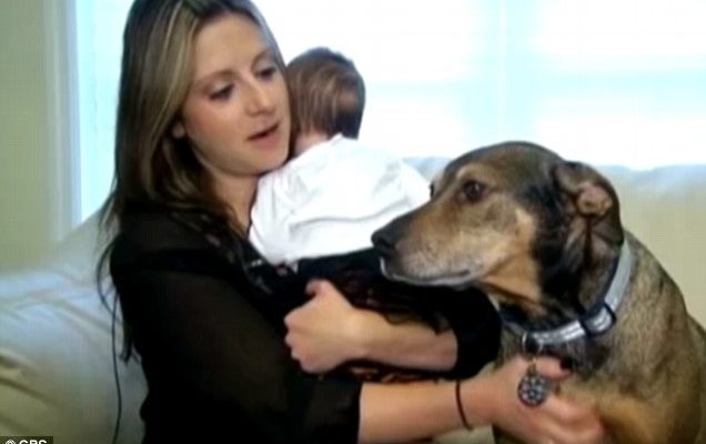 kutya megmentette a csecsemő életét