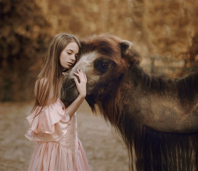 orosz fotós igazi állatokkal készít képeket