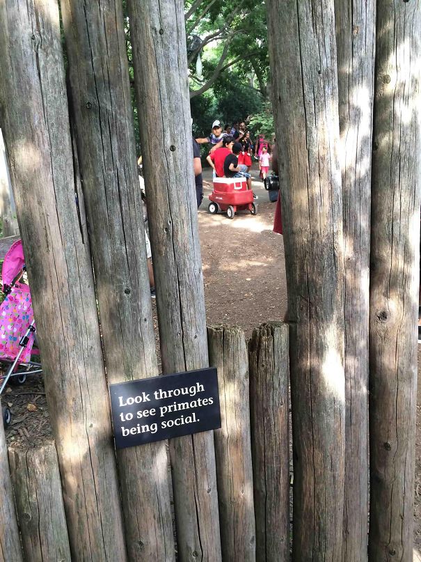 vicces állatkerti kiírások