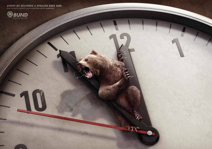 15 ütős reklámkampány az állatokért