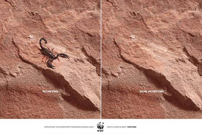 15 ütős reklámkampány az állatokért