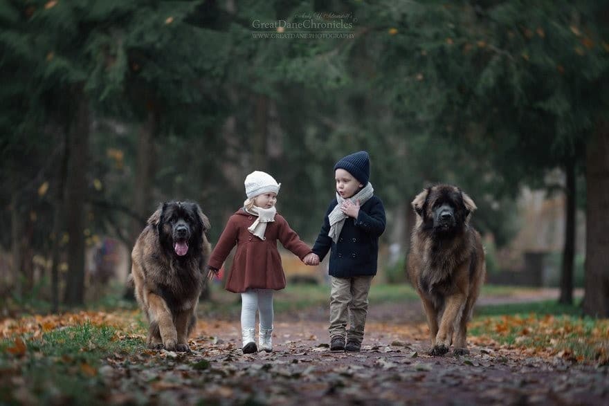 szívhez szóló fotó gyerekekről és kutyákról