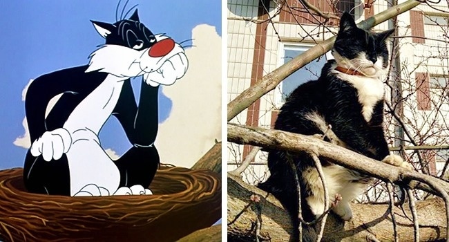 állatok rajzfilm karakterekre hasonlítanak