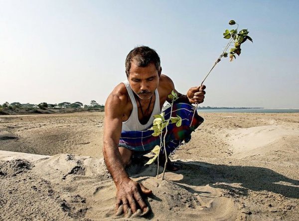 40 éve ez a férfi naponta ültetett egy fát