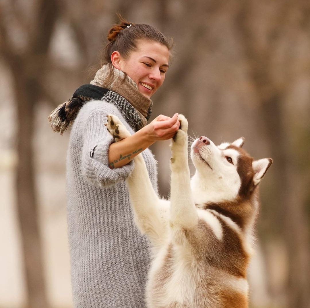 6 dolog amit a kutyák ki tudnak szagolni