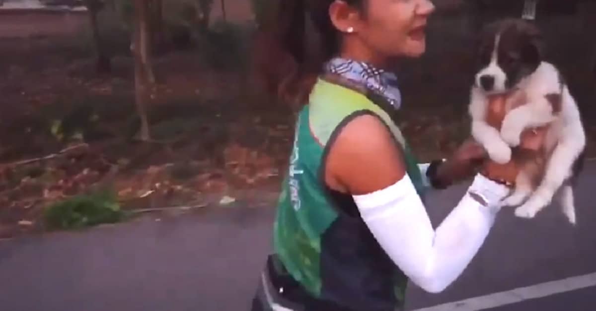 30 kilométert futott egy nő a kóbor kiskutyával
