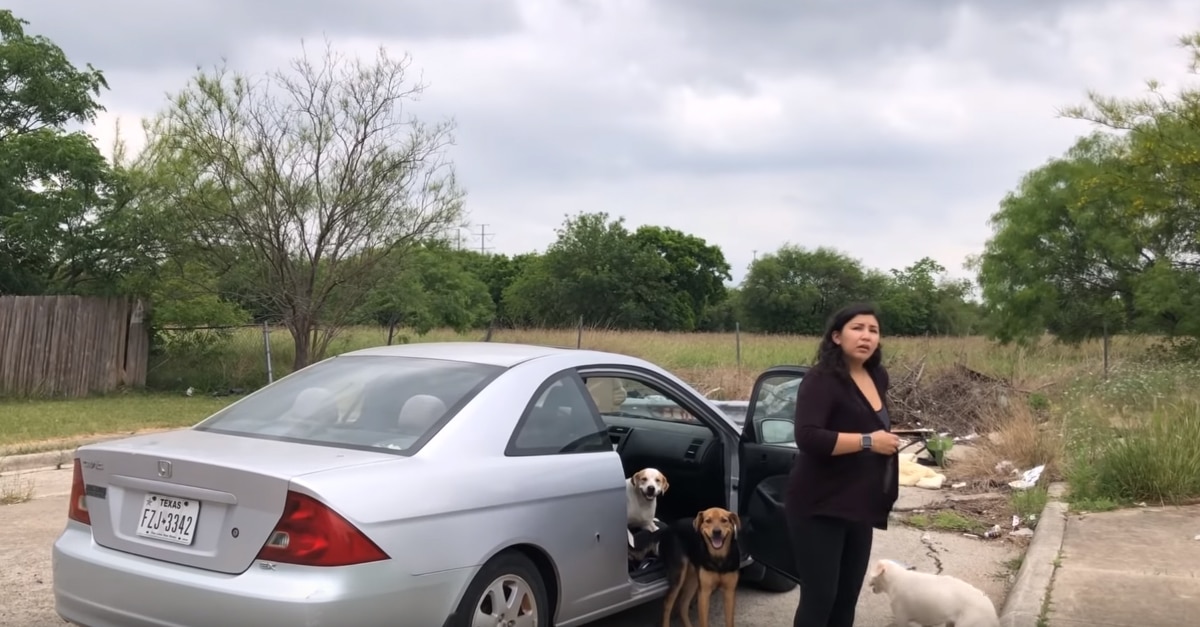 A nőt épp rajtakapják mikor négy kutyájától meg akar szabadulni