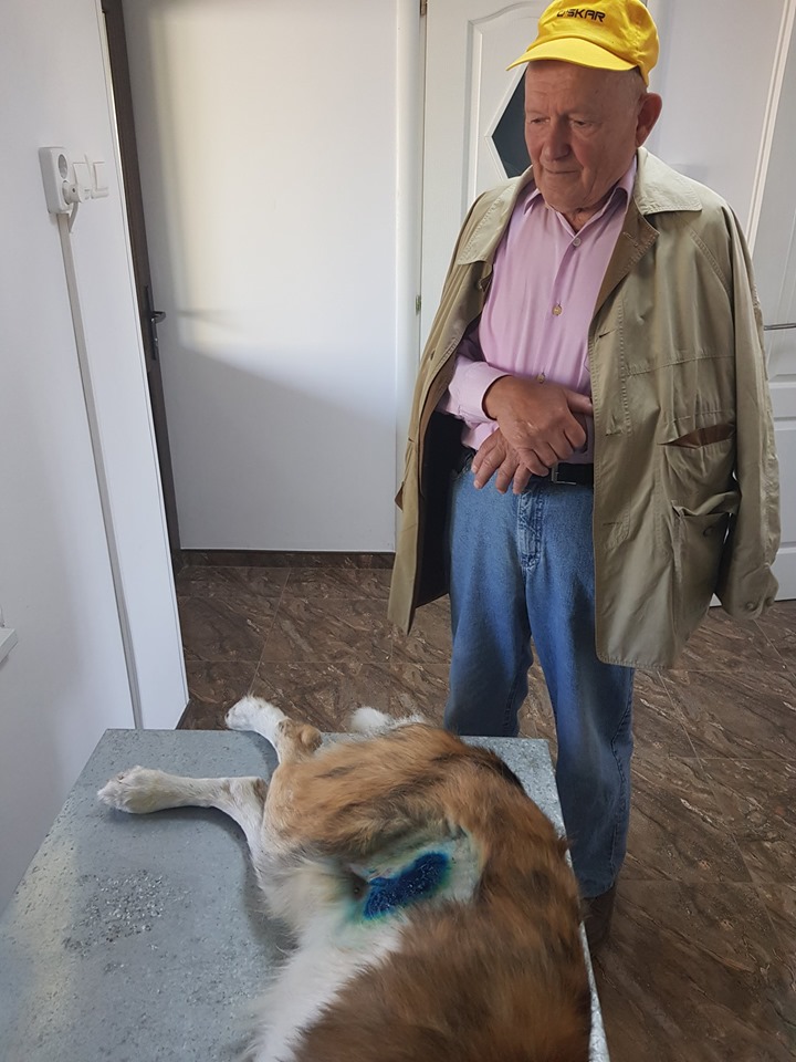Ez a 84 éves bácsi 8 km-en át vitte kutyáját egy talicskában2