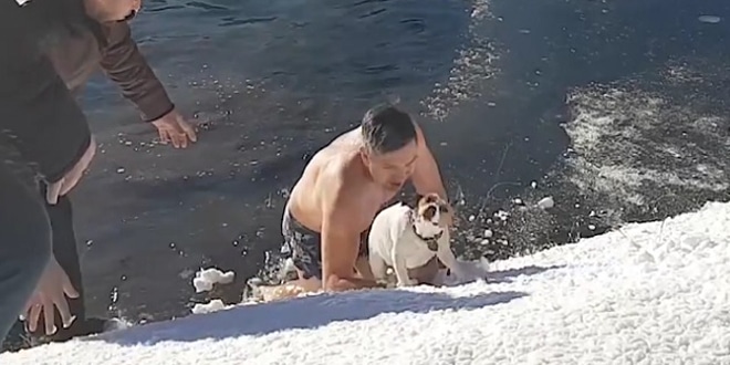 a férfi jeges vízből mentette ki az életéért küzdő kutyát