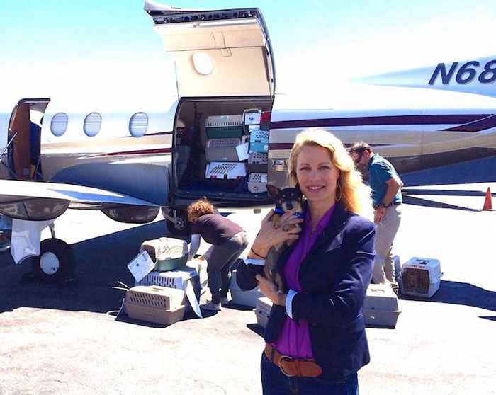 Így mentik meg az önkéntes pilóták az elaltatásra váró kutyákat
