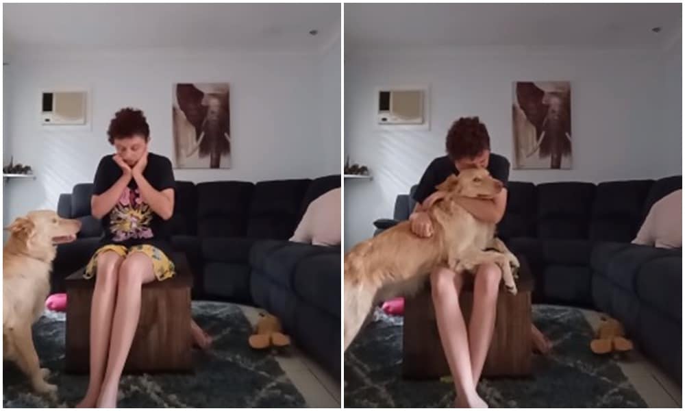 Így segít egy terápiás kutya egy autista pánikrohamán