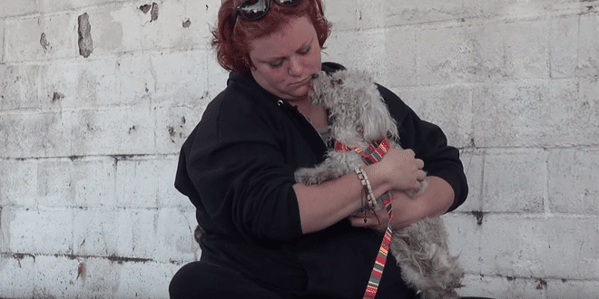 Súlyosan sérült kutyában most tudatosul, hogy megmentették