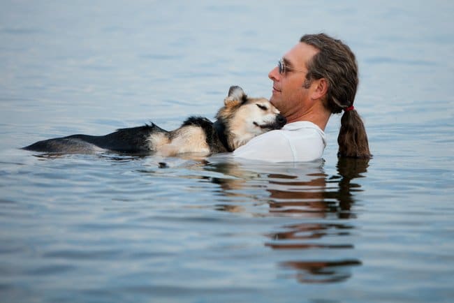 Egy ember és kutya közötti barátság megható története