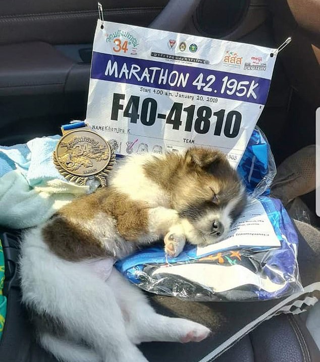 Verseny közben talált egy kiskutyát a maratonfutó