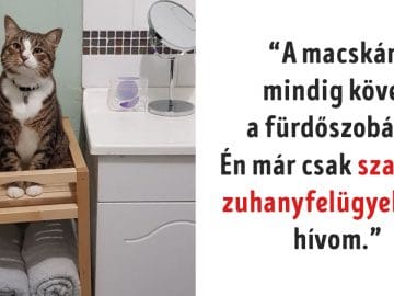 ragaszkodó kedvencek
