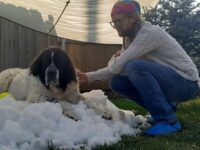 havat kapott a haldokló kutya