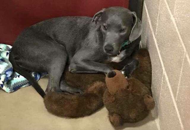 mackojavalamenehelyen