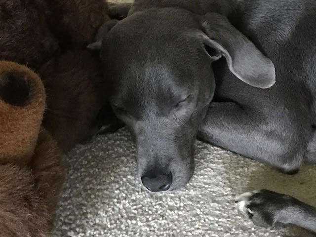 mackojavalamenehelyen