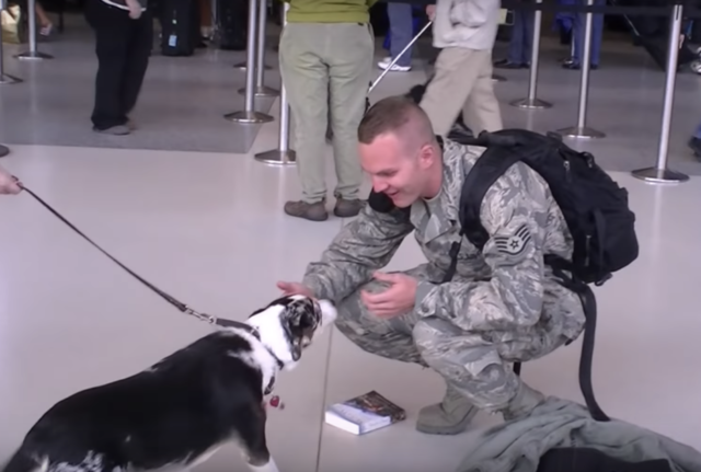 régnemlátottbarát 