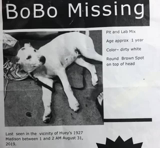 <iframe width="640" height="360" src="https://www.goodmorningamerica.com/video/embed/65603943" allowfullscreen frameborder="0"></iframe>